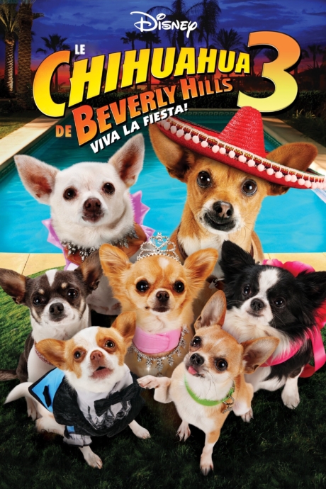 Beverly Hills Chihuahua 3: Viva la Fiesta! คุณหมาไฮโซ โกบ้านนอก ภาค 3 (2012) Poster