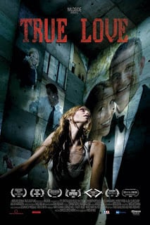 ดูหนังออนไลน์ True Love ถ้ารัก..อย่ากลัว (2012)