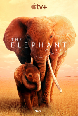 The Elephant Queen อัศจรรย์ราชินีแห่งช้าง (2019)