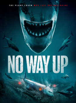 No Way Up งาบคลั่งไฟลต์ (2024) Poster