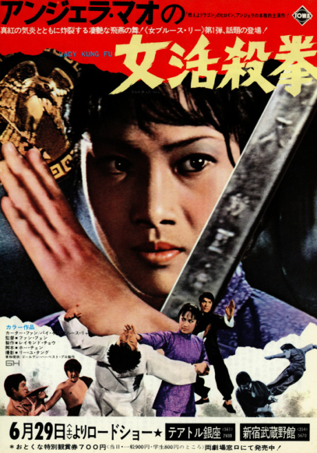 Lady Kung Fu พยัคฆ์สาวหมัดเหล็ก (1972) Poster